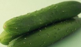 师妹日常吃瓜