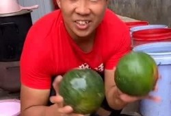 怒江小伙吃瓜网,揭秘吃瓜网背后的故事