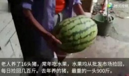 吃瓜完整的,揭秘娱乐圈背后的真相与八卦