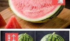 蜜蜂麒麟瓜怎么吃,美味多汁，轻松享用的夏日佳品