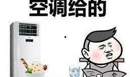 空空河马的吃瓜群众,吃瓜群众的趣味生活