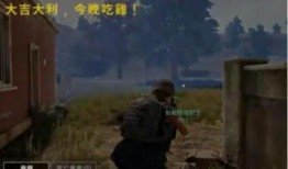 吃鸡博主瓜,揭秘热门博主瓜的吃鸡技巧