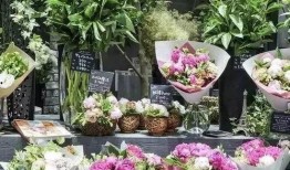 吃瓜花店视频