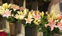 吃瓜花店视频