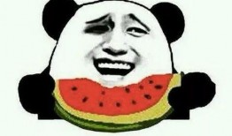 大川吃瓜啥意思,揭秘网络热词背后的趣味与内涵