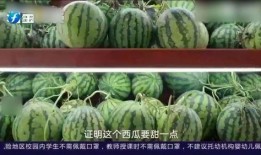 科普up吃瓜,揭秘科普UP主背后的“吃瓜”世界