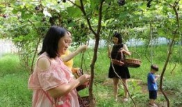 宝妈吃瓜,揭秘娱乐圈那些不为人知的幕后故事