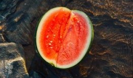 海星吃瓜,揭秘海洋中的“吃瓜”现象