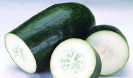 专门吃生瓜,专食生瓜的美食之旅