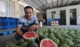 吃瓜师,师生间的趣味互动