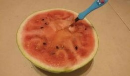 商丘一学校吃瓜,揭秘校园里的那些“瓜”