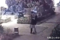 虎林吃瓜事件视频最新,一场网络热议的真相揭秘