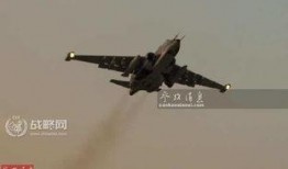 吃瓜系统鹤云间24,揭秘吃瓜系统的神秘世界