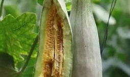 2019 吃瓜,娱乐圈风云再起，热点事件盘点