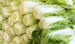 烈焰白菜吃瓜吃自己头上