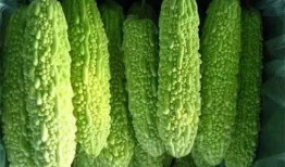 南宁高校吃瓜,一场别开生面的“吃瓜”盛宴