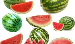 南倾在线吃瓜,揭秘娱乐圈的“吃瓜”盛宴