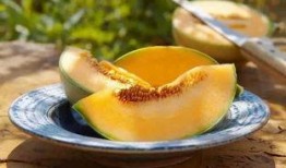 吃瓜不甜的原因,吃瓜不甜的惊人真相