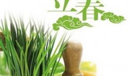 立春吃瓜什么说法,探寻传统习俗中的立春吃瓜奥秘