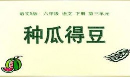 ppt 吃瓜,从“吃瓜”现象看网络舆论的演变与反思