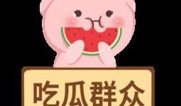 暴走图吃瓜群众,揭秘网络热图的狂欢与争议