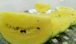 围观吃瓜,揭秘网络热议背后的真相与趣味