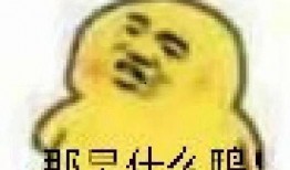 表情吃瓜的意思,揭秘网络热词背后的趣味与内涵