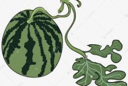 大瓜吃瓜素材图片高清,高清素材里的娱乐圈风云录