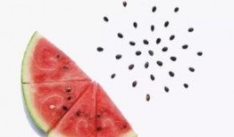 吃瓜不吐籽儿好吗,揭秘瓜果美食的独特魅力