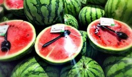 各大俱乐部吃瓜ksg,揭秘各大俱乐部背后的“吃瓜”KSG风云录