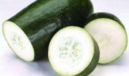 吃瓜日常喝多,畅饮狂欢背后的故事