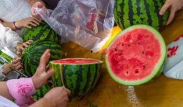 可怕视频吃瓜,吃瓜群众揭秘可怕事件真相