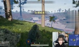 小瓜吃鸡游戏,畅游虚拟战场，体验极限竞技乐趣