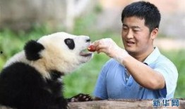 熊吃瓜图片,一场自然界的趣味邂逅