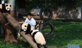 熊吃瓜图片,一场自然界的趣味邂逅