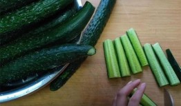 贵圈吃瓜最佳方法,吃瓜群众的最佳观战指南