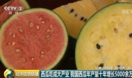 吃瓜群众西瓜夏天,吃瓜群众西瓜盛宴