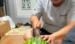 播放吃瓜博主,带你领略网络世界的“瓜田”盛景