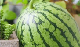 浅心吃瓜,揭秘娱乐圈那些不为人知的幕后故事