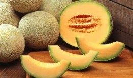 哈密瓜嫩瓜怎么吃最好,哈密瓜嫩瓜的鲜美食法指南