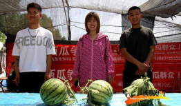 吃瓜河北神剪,揭秘民间剪纸艺术的魅力与传承