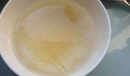 野生奶冻吃瓜,揭秘神秘吃瓜背后的美味传奇