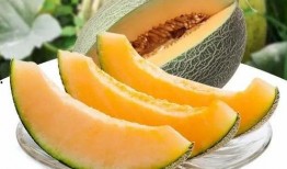 来瓜州当个吃瓜群众的人