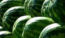 吃群瓜,群瓜盛宴背后的故事