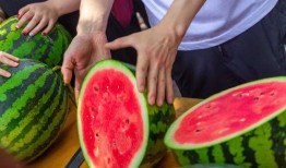 学校吃瓜资源,揭秘校园美食背后的故事