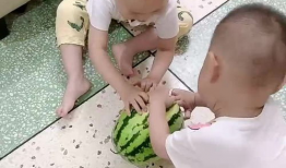 爆笑双胞胎兄弟吃瓜,瓜田里的欢乐食客