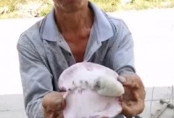 秋名山吃瓜大叔,揭秘赛车界的神秘“吃瓜群众”