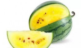 吃瓜的瓜在哪,探寻“吃瓜群众”的瓜从何而来