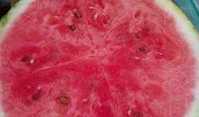 抱着夏天吃瓜,揭秘抱着夏天吃瓜的乐趣