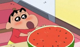 吃瓜的胖人吗,探寻美食与健康的平衡之道